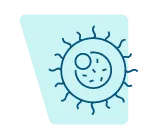 Oncology