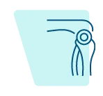 Rheumatology